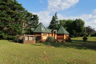 Kota - A l'abri des cyprès