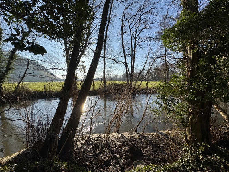 Domaine AbracadaRoom : L'île Merveilleuse - Image 5