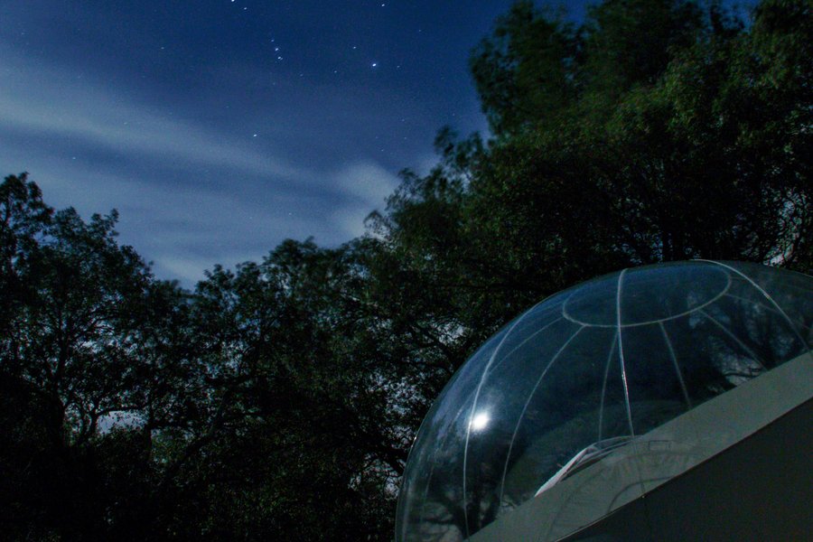 Bulle de Nuit — photo 2