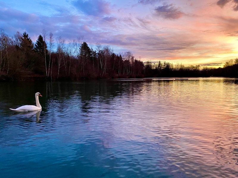 Domaine AbracadaRoom : L'Escale Royale - Saint Fargeau - Image 4