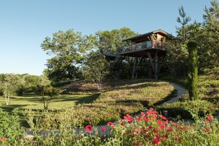 Cabane sur pilotis Côte-d'Or