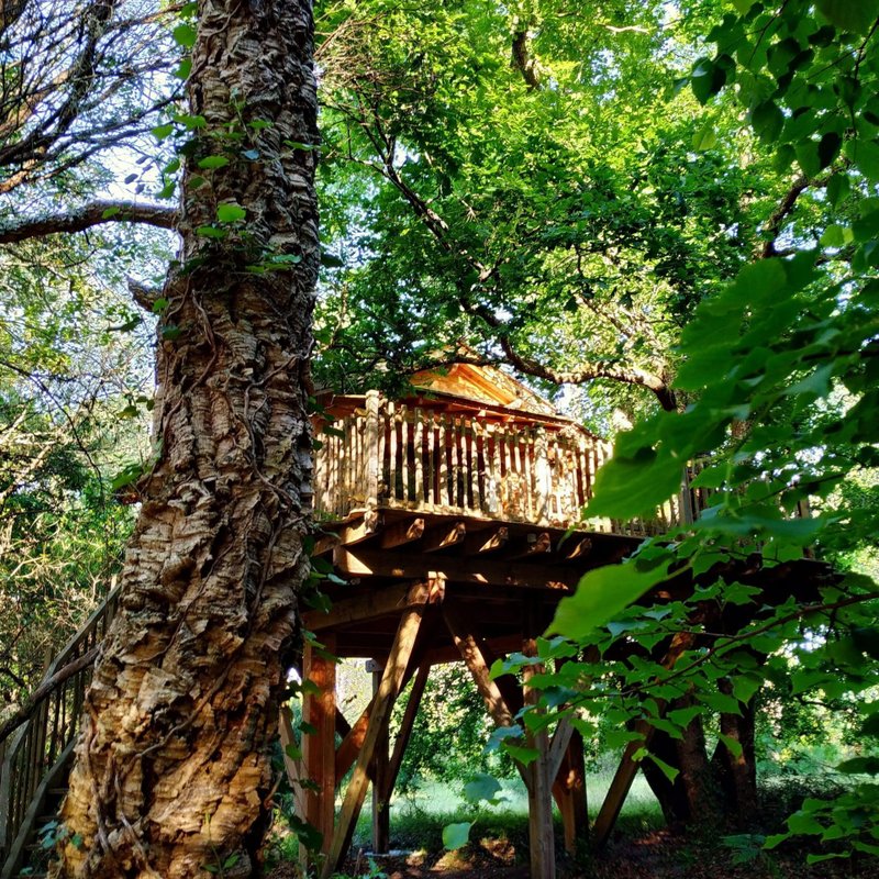 La Cabane Perchée d'Hossegor & Spa à Hossegor (1)