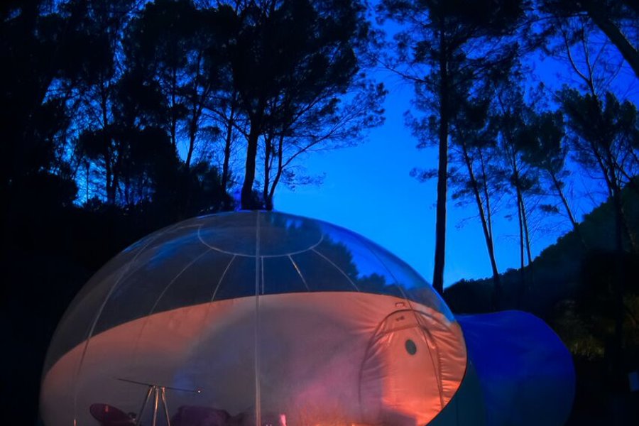 Bulle Harmony — photo 2