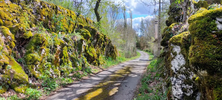 Domaine AbracadaRoom : Camping La Deveze - Image 10