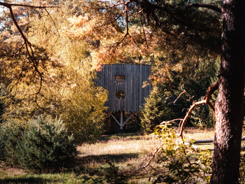 Hébergement AbracadaRoom : Cabane perchée Deluxe Famille avec Spa - Image 2