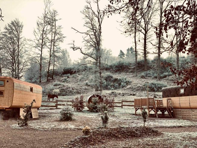 Domaine AbracadaRoom : Ma Roulotte sous les Chênes - Image 1