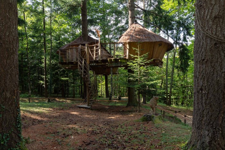 Hébergement AbracadaRoom : Cabane Castor - Image 2