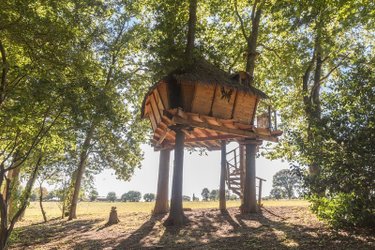 Cabane Butterfly à St Aubin Des Préaux (2)