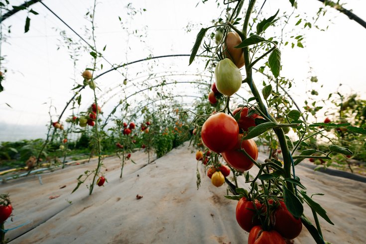 Domaine AbracadaRoom : Homnest (Bruailles) - Image 25