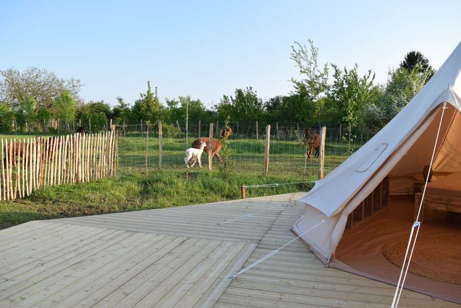 Hébergement AbracadaRoom : Tente Inca - Image 4