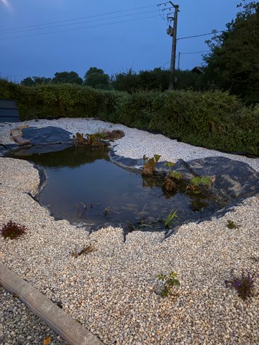 Hébergement AbracadaRoom : La Verrière du Cotentin & Spa & Sauna - Image 5