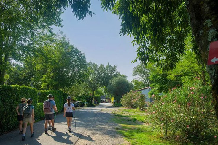 Domaine AbracadaRoom : Camping le Petit Bois - Image 17