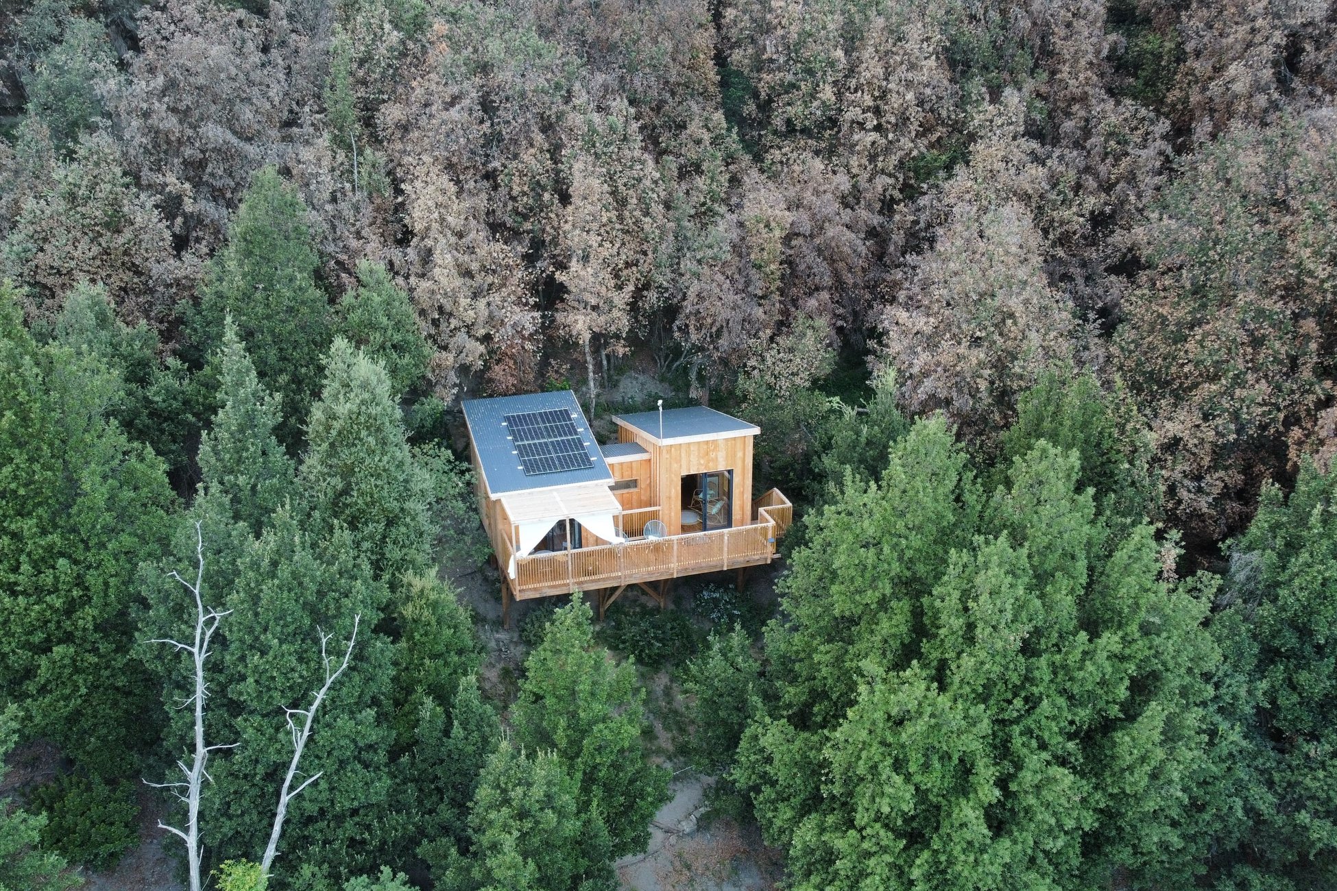 Hébergement UnicStay : Cabane Surghjente à Poggio-Marinaccio