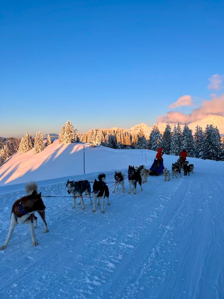 Hébergement AbracadaRoom : Cabane Le Saloon & Spa - Image 27