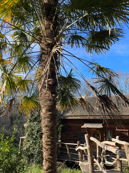 Hébergement AbracadaRoom : Cabane Le Cœur de Xanet - Image 18