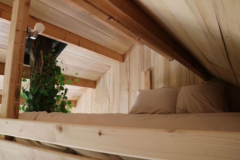 Hébergement AbracadaRoom : La Cabane de La Tortillère - Image 14