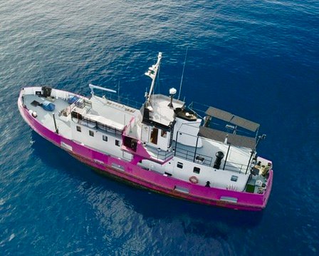 Domaine AbracadaRoom : Independence boat- SAINT-MARTIN - Image 2