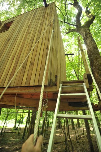 Hébergement AbracadaRoom : Cabane Ecureuil - Image 7