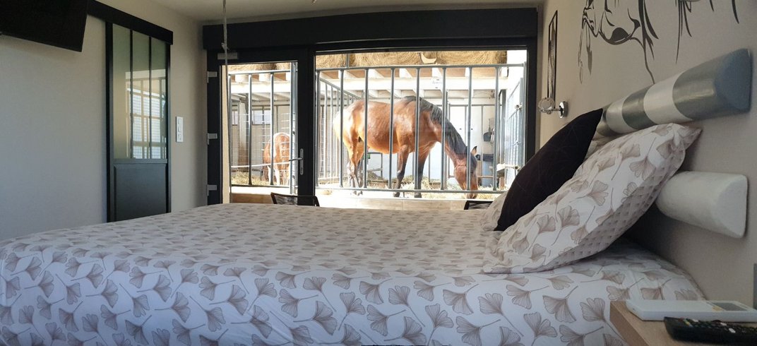 Hébergement AbracadaRoom : Suite 1 - 5 personnes avec accès direct aux chevaux - Image 4