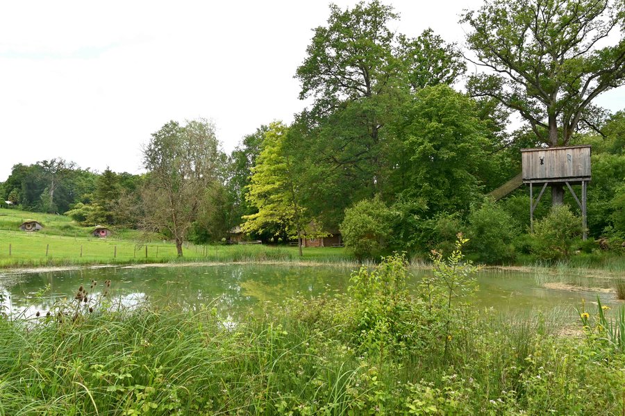 Domaine AbracadaRoom : Domaine de la Roche Bellin - Image 6