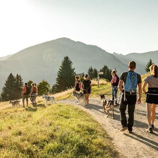 Domaine AbracadaRoom : Gîtes la Patte Nordic - Image 9