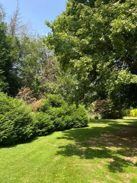 Domaine AbracadaRoom : Au Lit D'Ô - Image 5