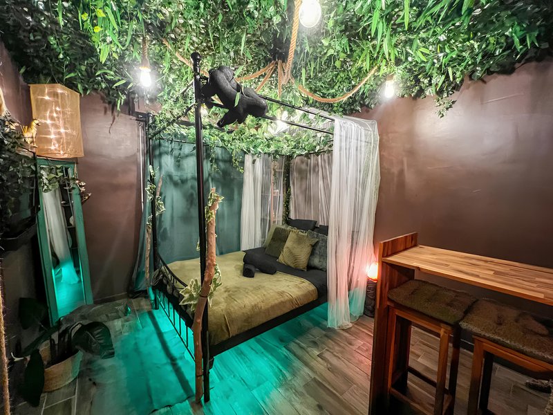 Hébergement AbracadaRoom : La Tanière de Mowgli - Plage du môle - Jungle Room - Image 1