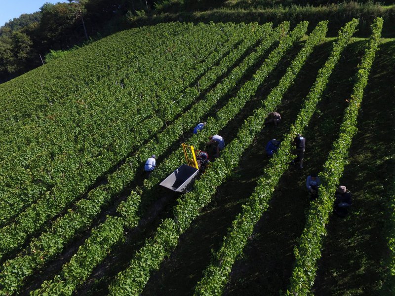 Hébergement AbracadaRoom : Belvédère du Haut Bugey - Refuge dans les cépages - Image 36