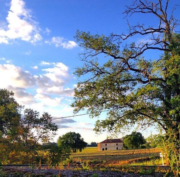 Domaine AbracadaRoom : Yourtes de Gascogne - Image 2