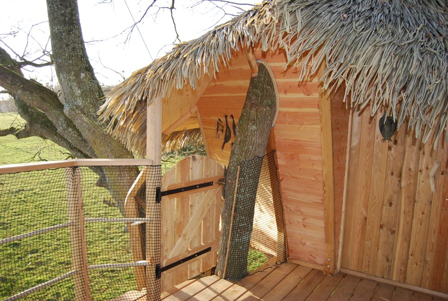 Hébergement AbracadaRoom : Dam'oiseaux - Image 10