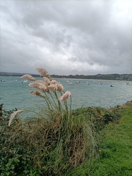 Domaine AbracadaRoom : Le Chaudron Magique de Loguivy - Image 9