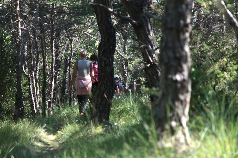 Hébergement AbracadaRoom : Ecolodge Andromède - Image 19