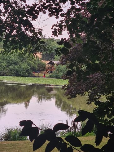 Hébergement AbracadaRoom : Tente safari au bord de l'étang - Image 9
