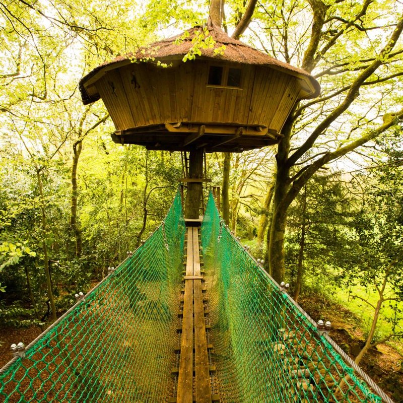 cabane dans les arbres-sejour en amoureux-bretagne-abracadaroom