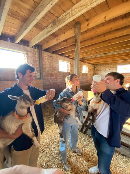Domaine AbracadaRoom : Centre Equestre de la Vallée - Image 7