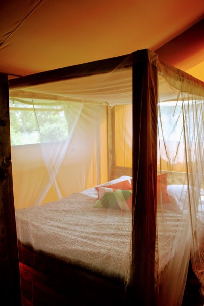 Hébergement AbracadaRoom : Tente Safari - Image 6