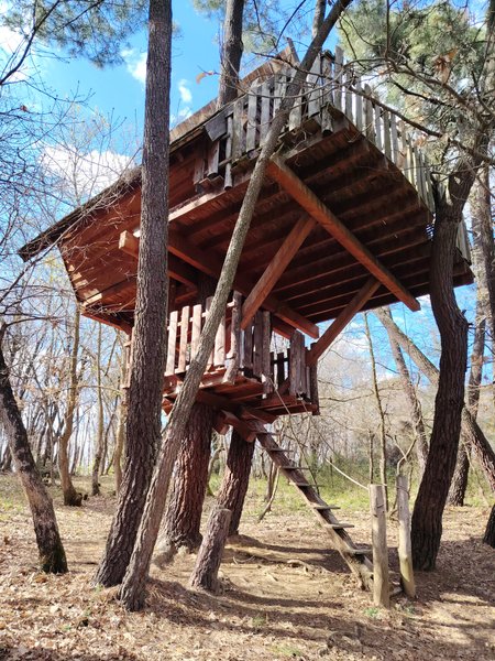 Hébergement AbracadaRoom : Cabane Nid d’Oiseaux - Un cocon perché qui danse avec le vent - Image 7