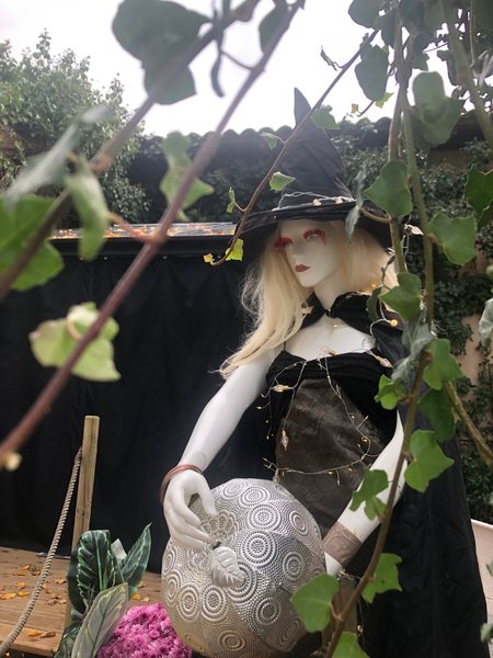 Hébergement AbracadaRoom : Bulle Mystique - Image 34