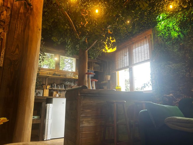 Hébergement AbracadaRoom : La Jungle Room de Paulette - Image 3