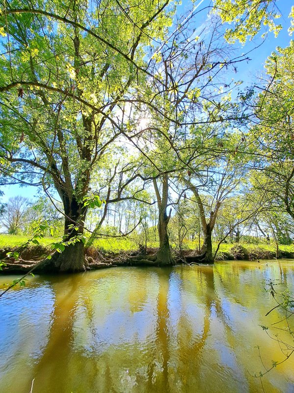 Le Logis du Meunier à Champagnac (14)