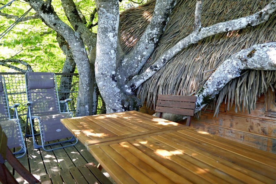 Hébergement AbracadaRoom : Migrateur - Image 7