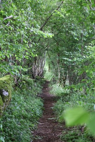 Domaine AbracadaRoom : Les Cabanes dans les Arbres de Caluche - Image 8