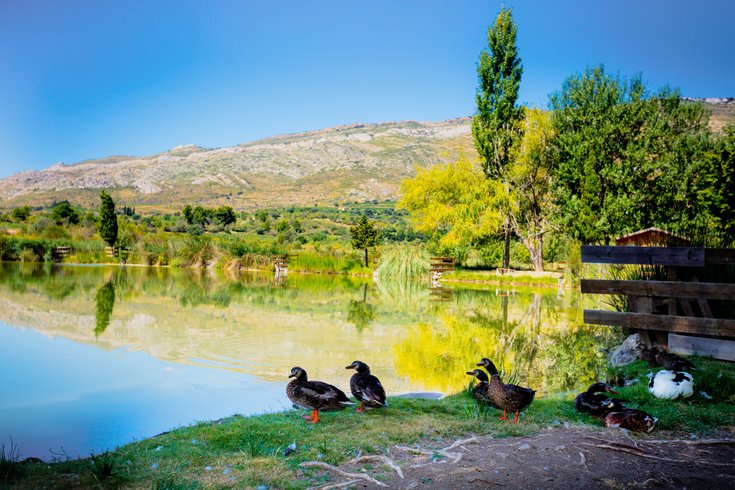 Domaine AbracadaRoom : Domaine La Peiriere - Image 2