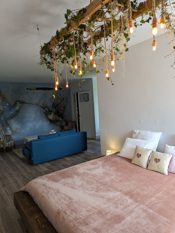 Chambre "Rêve de Colibri" à Parentignat (4)