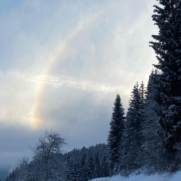 Hébergement AbracadaRoom : Cabane Feuille & Spa - Image 14