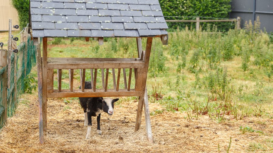 Domaine AbracadaRoom : Camping Seasonova Haliotis - Image 52