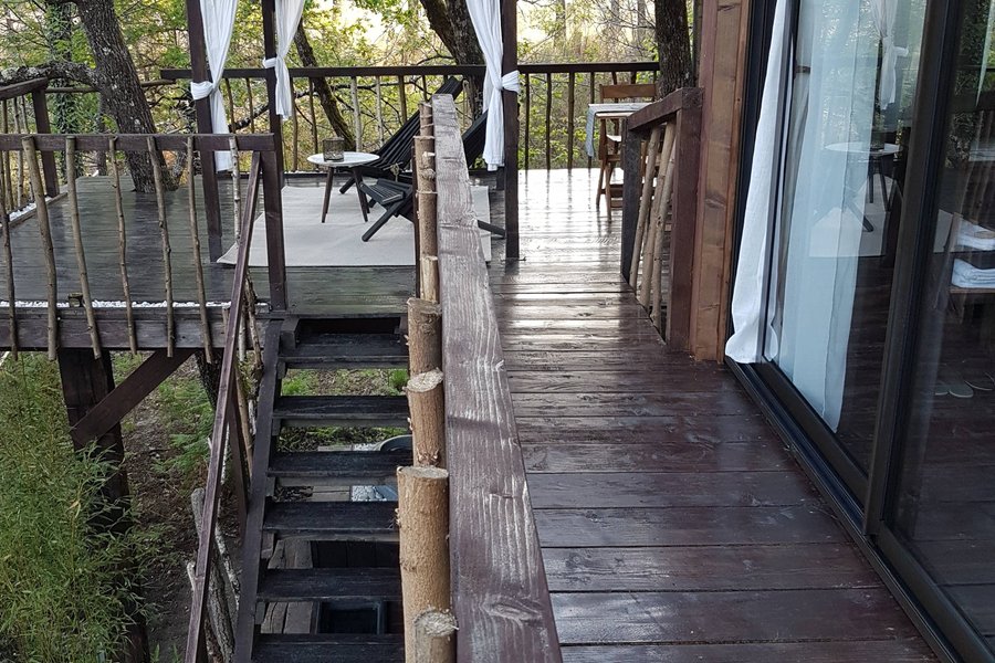 Cabane Réminiscence et Spa dans les arbres — photo 2