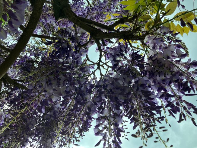 Domaine AbracadaRoom : Par les monts étoilés - Image 7