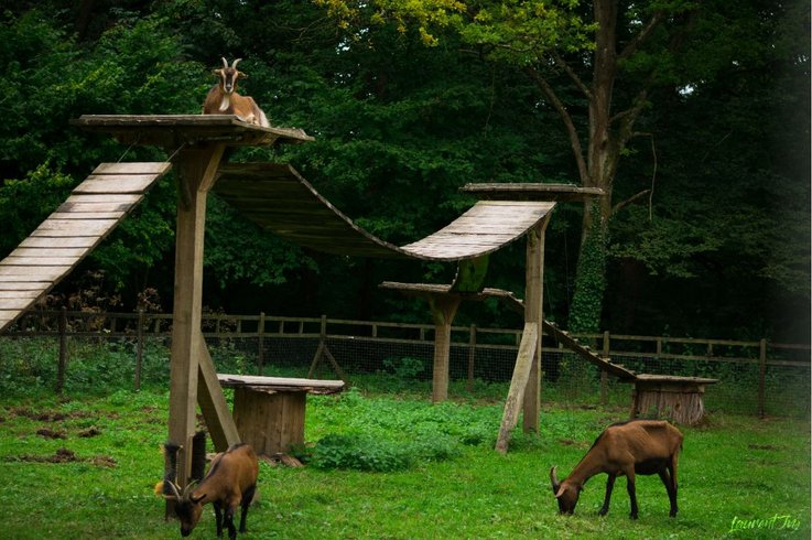 Domaine AbracadaRoom : Domaine des Reflets Bleus - Image 11