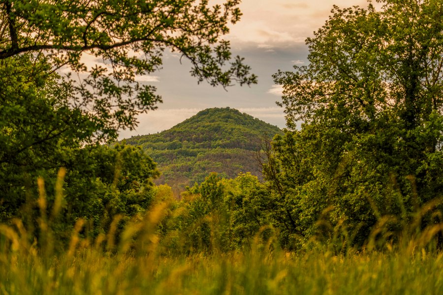 Domaine AbracadaRoom : Homnest (Saint-Diéry) - Image 30
